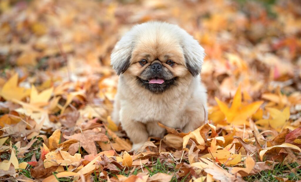 配送トラブルを回避するためのおせち対策は？