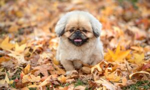 配送トラブルを回避するためのおせち対策は？