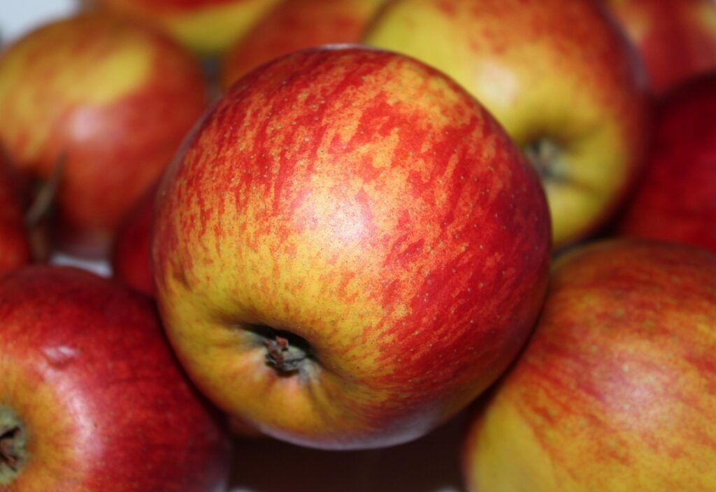 おせち料理は栄養士監修のもとでどのように作られているのか、何？