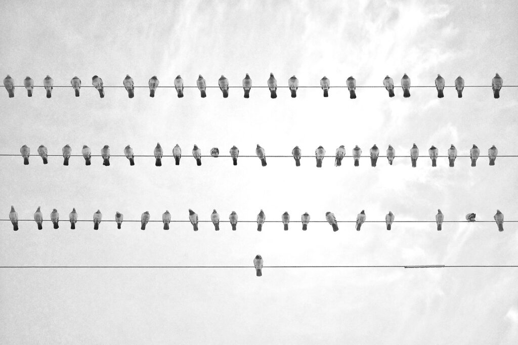 義母に好印象を与えるおせちはどれ？