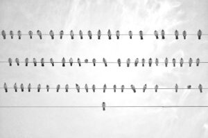 義母に好印象を与えるおせちはどれ？