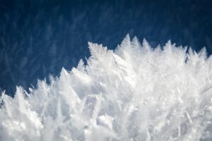 彼の実家に好印象を与えるおせちの選び方に迷ったらどう選ぶ？
